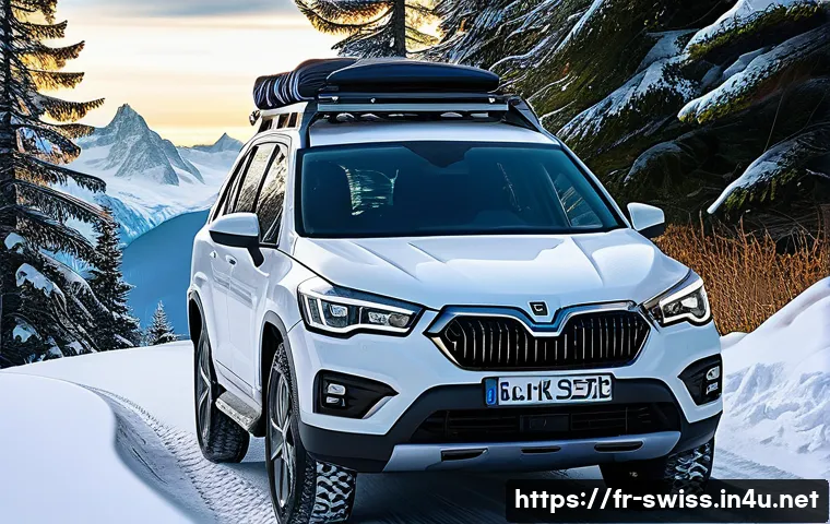 스위스에서 자동차 렌트하는 법 관련 이미지 1