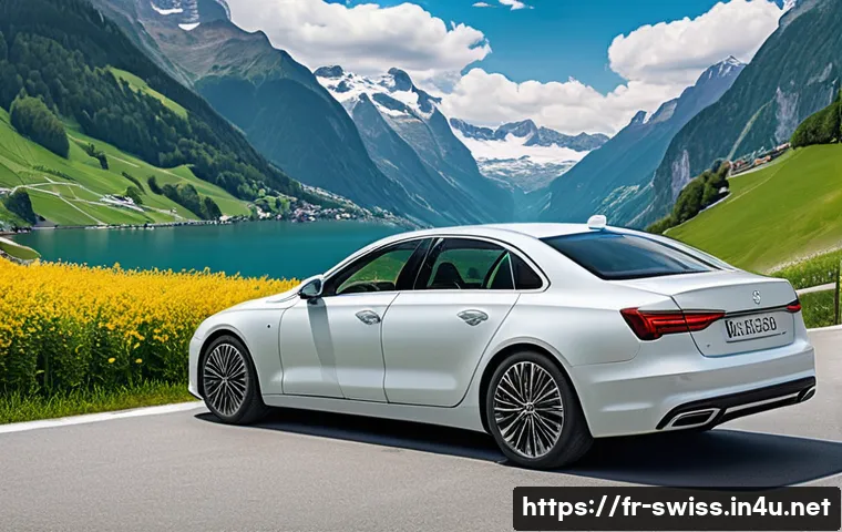 스위스에서 자동차 렌트하는 법 관련 이미지 2